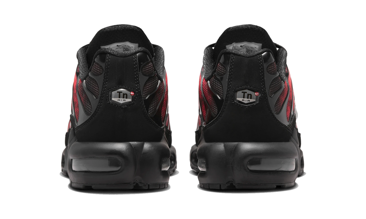 Overkicks - Nike Air Max Plus Flairemax (IR1998-001) - detalle talón