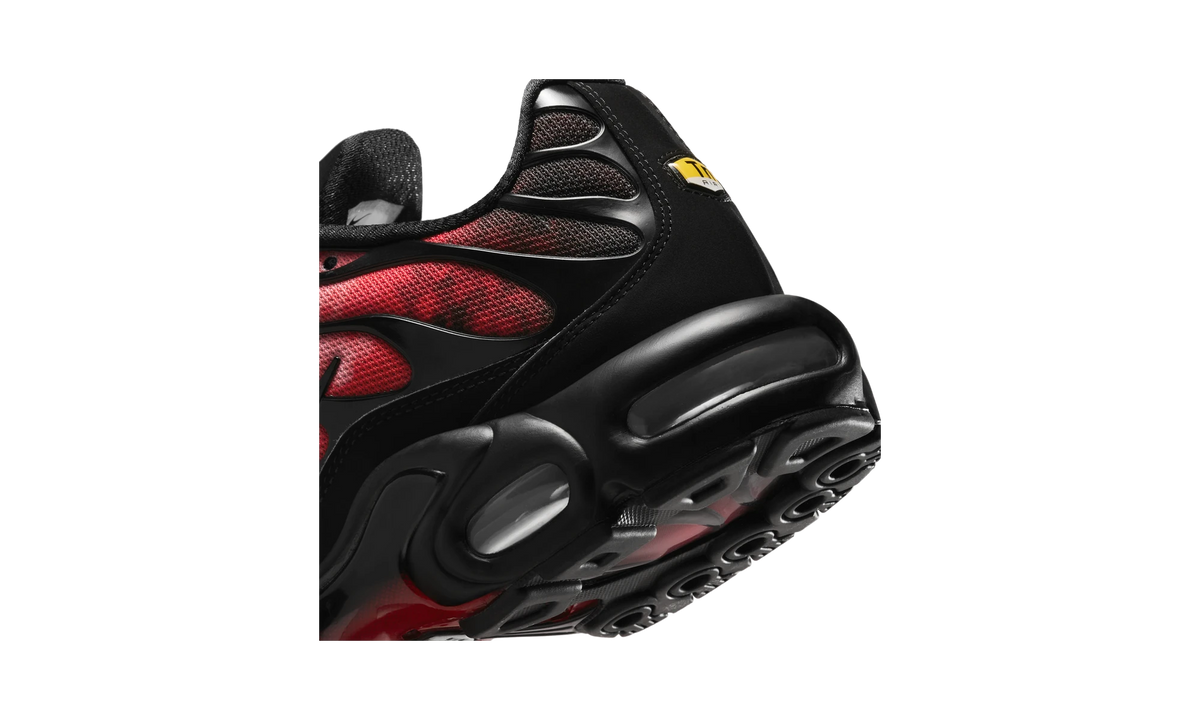Overkicks - Nike Air Max Plus Flairemax (IR1998-001) - detalle