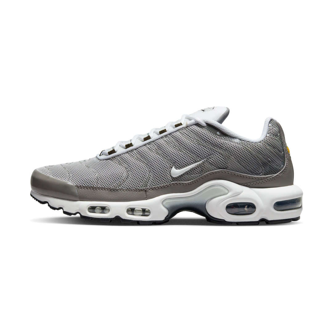 Overkicks - Nike Air Max Plus Flat Pewter (DV7665-002) - vista lateral