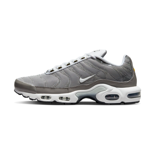 Overkicks - Nike Air Max Plus Flat Pewter (DV7665-002) - vista lateral