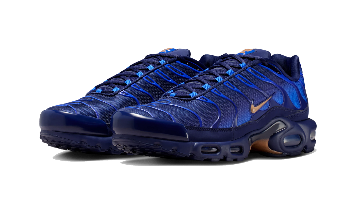 Overkicks - Nike Air Max Plus French Football Federation (IQ0170-400) - vista trasera