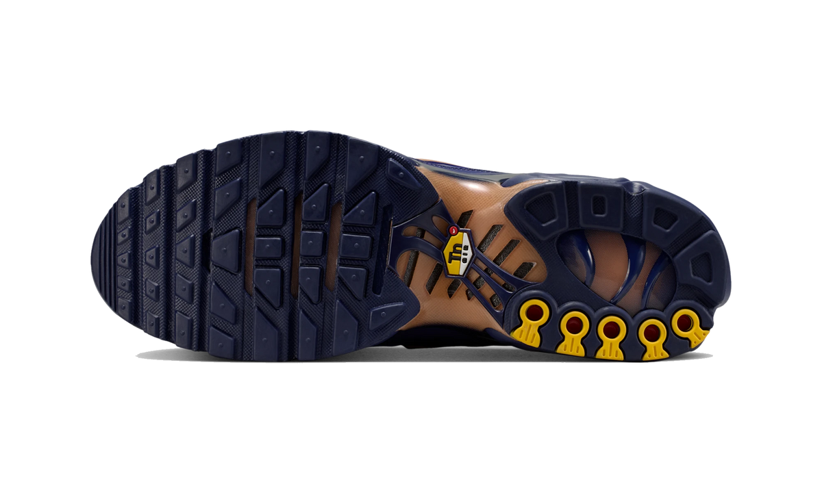 Overkicks - Nike Air Max Plus French Football Federation (IQ0170-400) - par completo