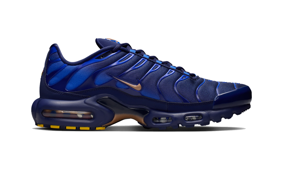 Overkicks - Nike Air Max Plus French Football Federation (IQ0170-400) - detalle suela