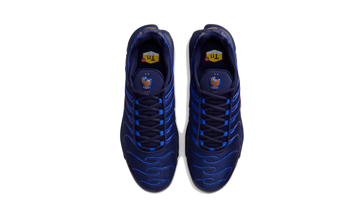 Overkicks - Nike Air Max Plus French Football Federation (IQ0170-400) - vista superior