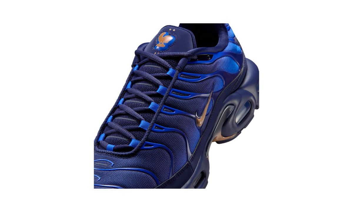 Overkicks - Nike Air Max Plus French Football Federation (IQ0170-400) - detalle lateral interior