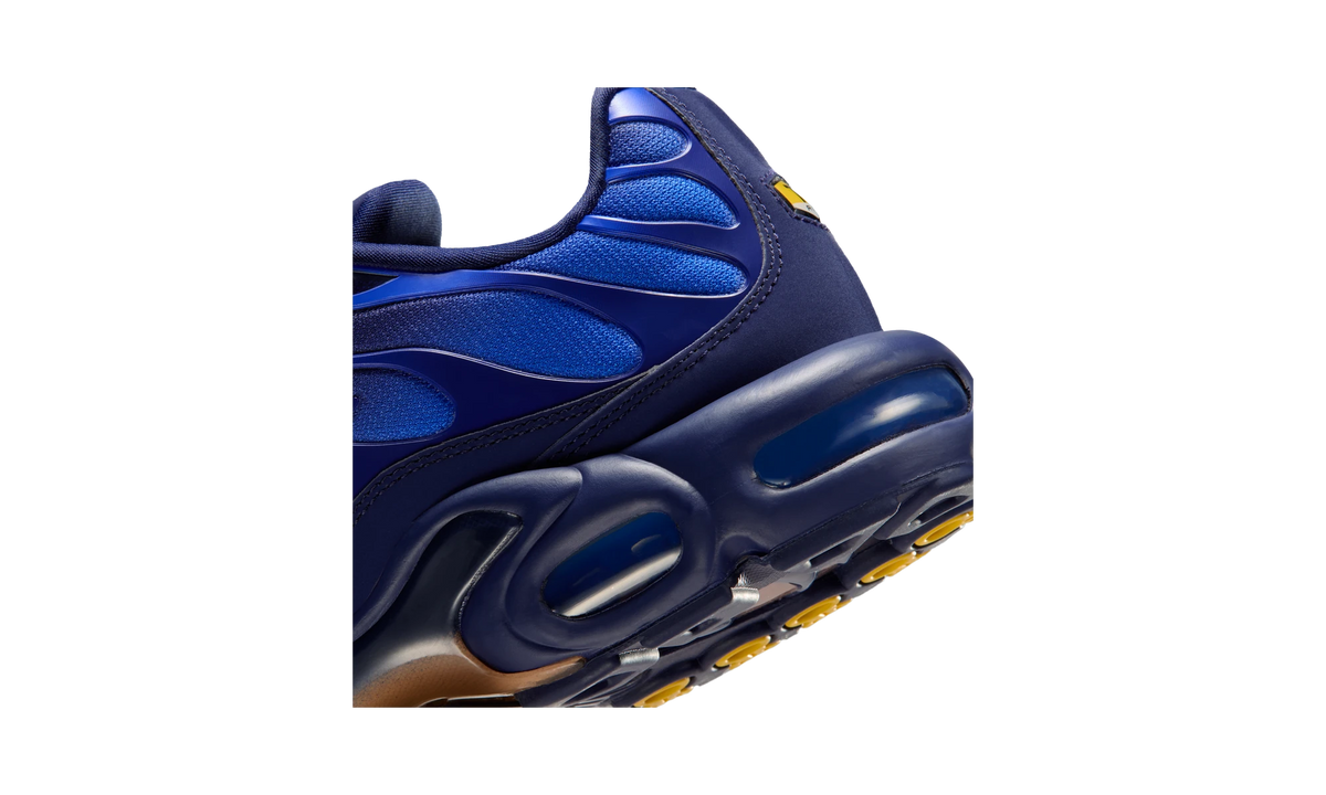 Overkicks - Nike Air Max Plus French Football Federation (IQ0170-400) - detalle