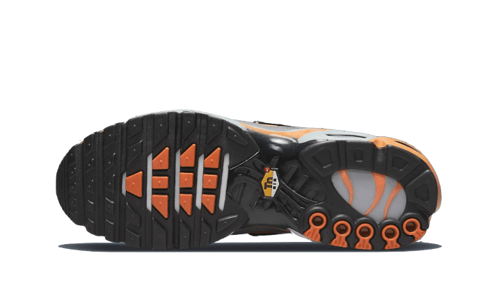 Overkicks - Nike Air Max Plus Grey Orange (DM0032-001) - par completo