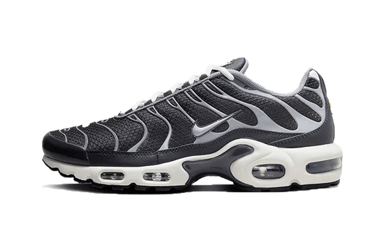 Overkicks - Nike Air Max Plus Greyscale Cool Grey (DZ2655-001) - vista lateral