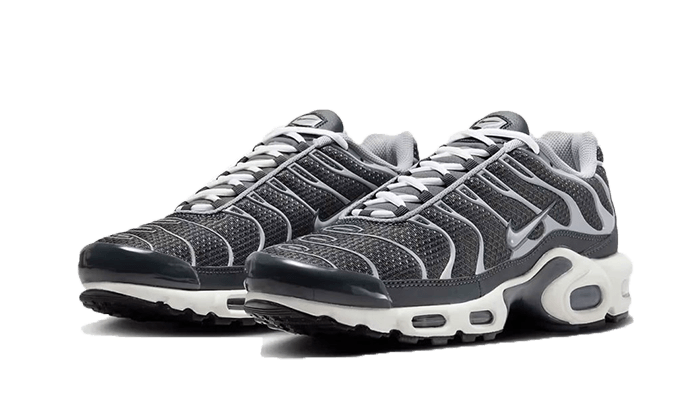 Overkicks - Nike Air Max Plus Greyscale Cool Grey (DZ2655-001) - vista trasera