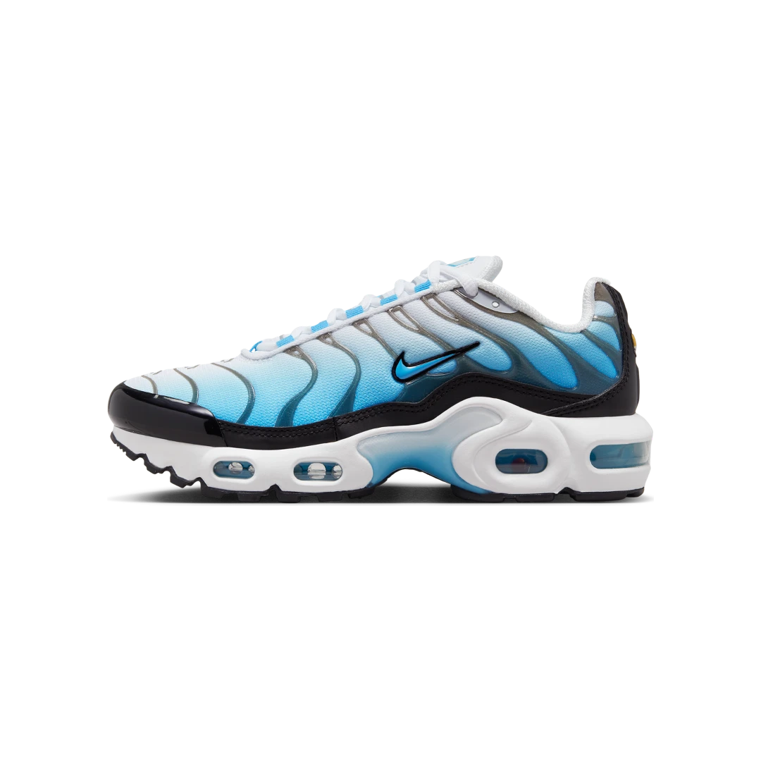 Overkicks - Nike Air Max Plus Ice (FD9767-100) - vista lateral