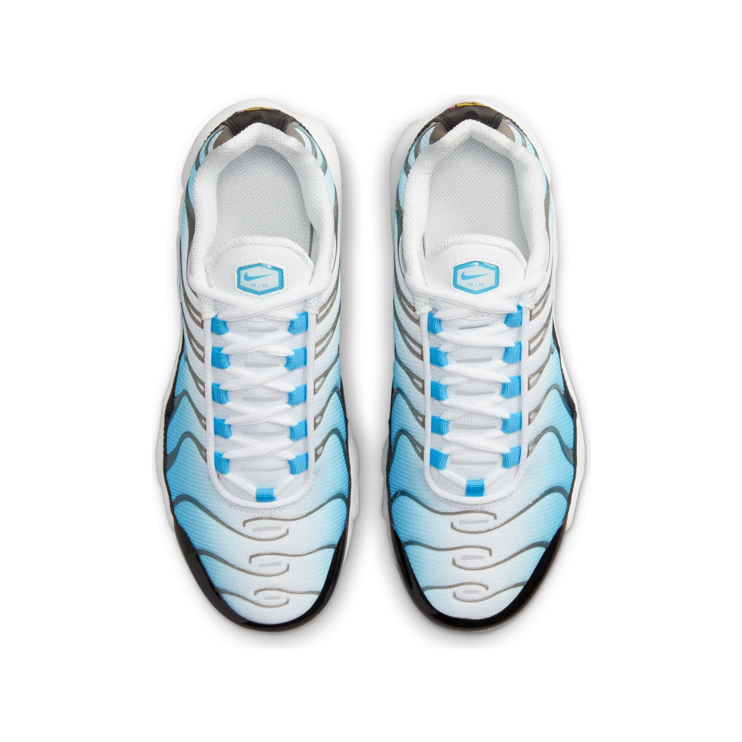 Overkicks - Nike Air Max Plus Ice (FD9767-100) - par completo