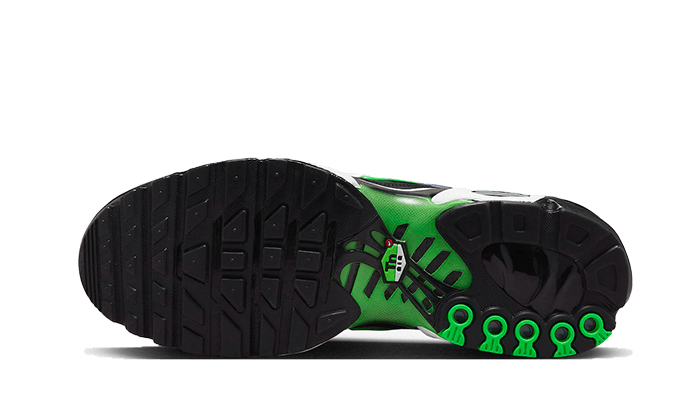 Overkicks - Nike Air Max Plus Icons Deep Royal Scream Green (DX4326-001) - par completo