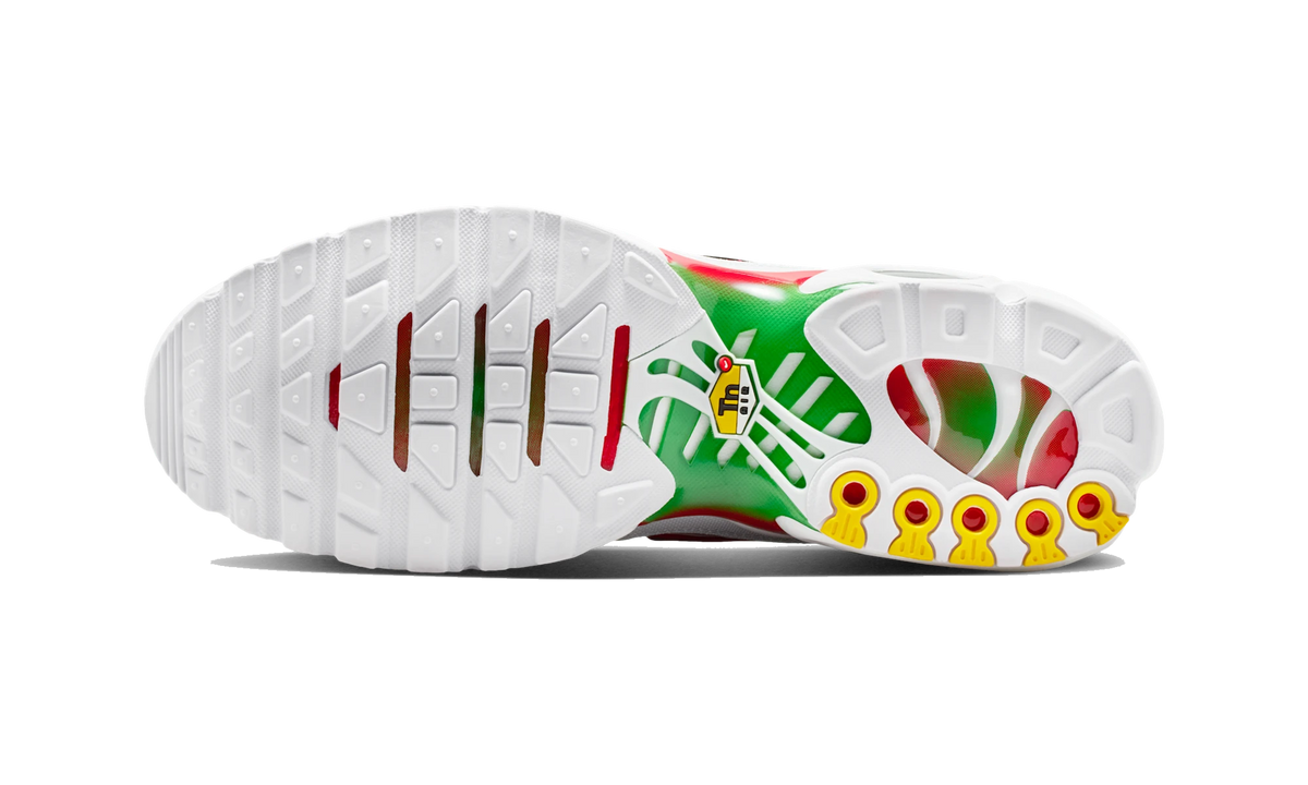 Overkicks - Nike Air Max Plus Italy (DM0032-108) - par completo
