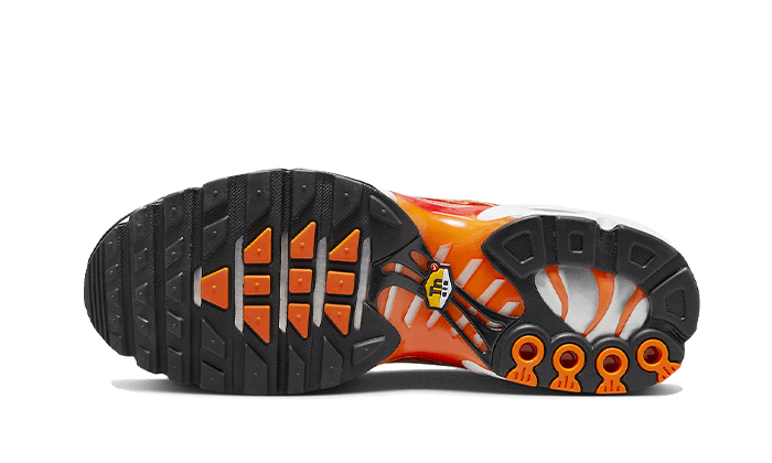 Overkicks - Nike Air Max Plus Light Photography (DZ3531-600) - par completo