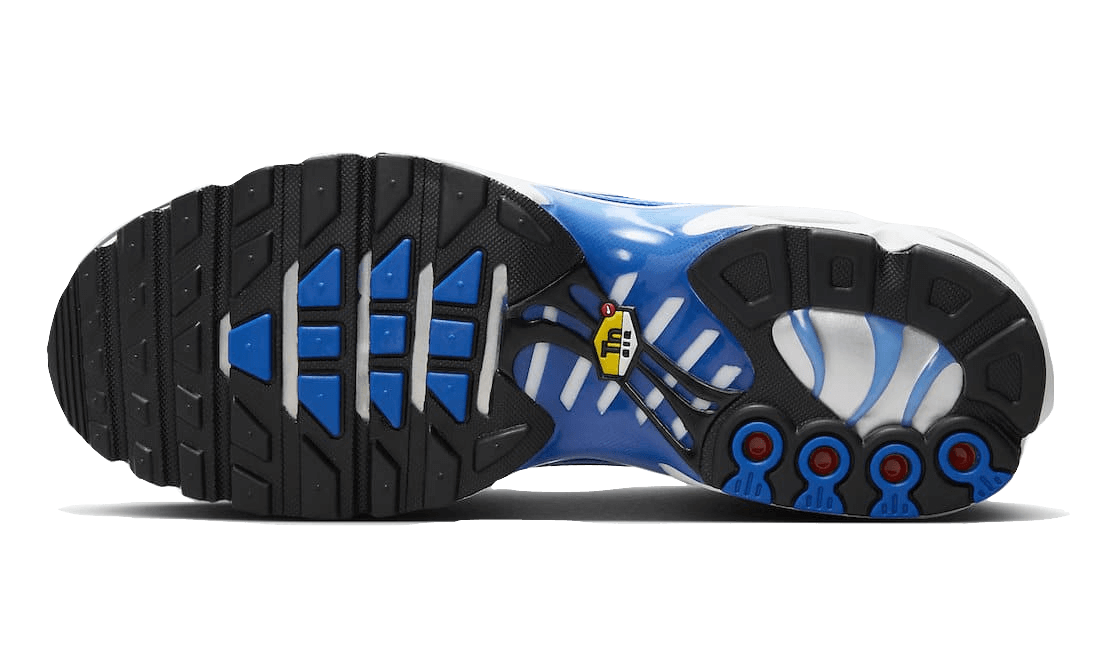 Overkicks - Nike Air Max Plus Light Photography Old Royal (DZ3531-400) - par completo
