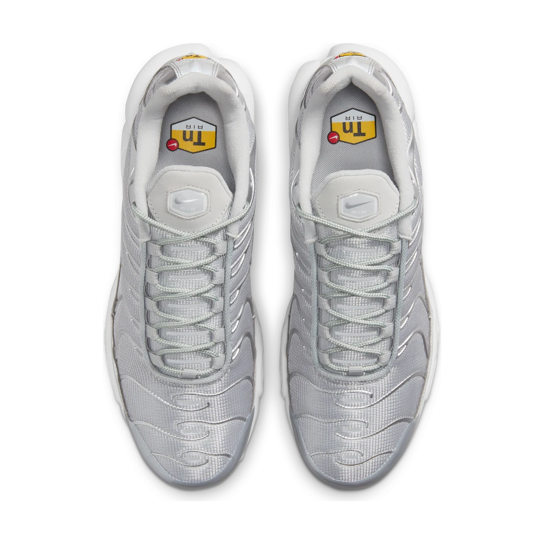Overkicks - Nike Air Max Plus Metallic Silver (FJ1012-095) - par completo
