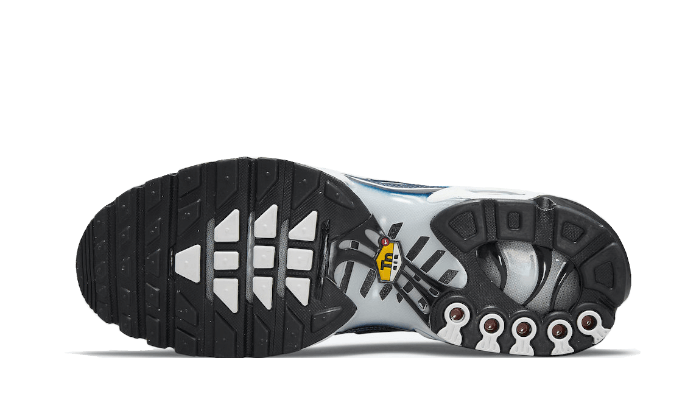 Overkicks - Nike Air Max Plus Midnight Navy White (DO6384-400) - par completo