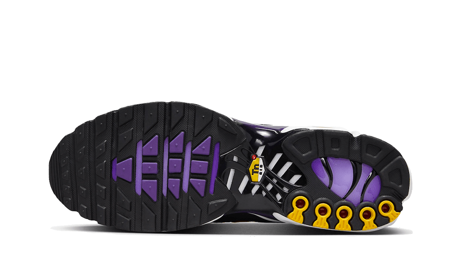 Overkicks - Nike Air Max Plus OG Voltage Purple (2024) (DX0755-500 / CD0609-024) - par completo