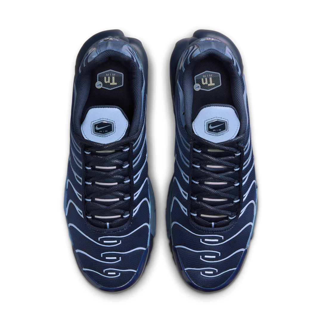Overkicks - Nike Air Max Plus Obsidian Aluminum (IM6601-451) - par completo
