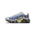 Nike Air Max Plus Obsidian Silver (GS)
