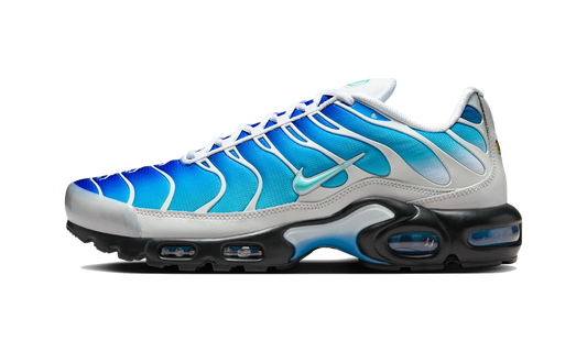 Overkicks - Nike Air Max Plus One Block Down Light Photo Blue (FZ3308-400) - vista lateral