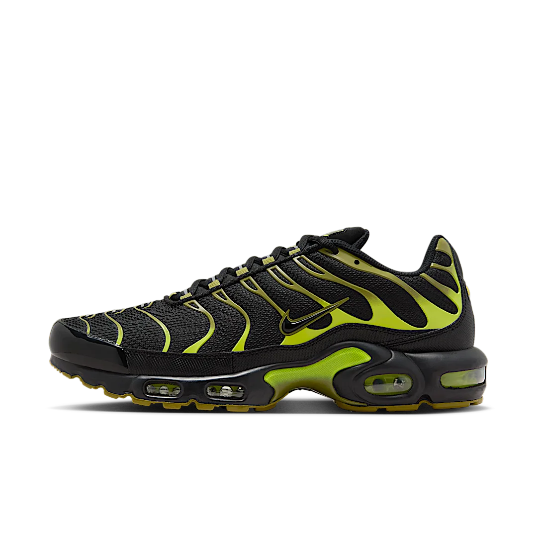 Overkicks - Nike Air Max Plus Pacific Moss (DM0032-010) - vista lateral