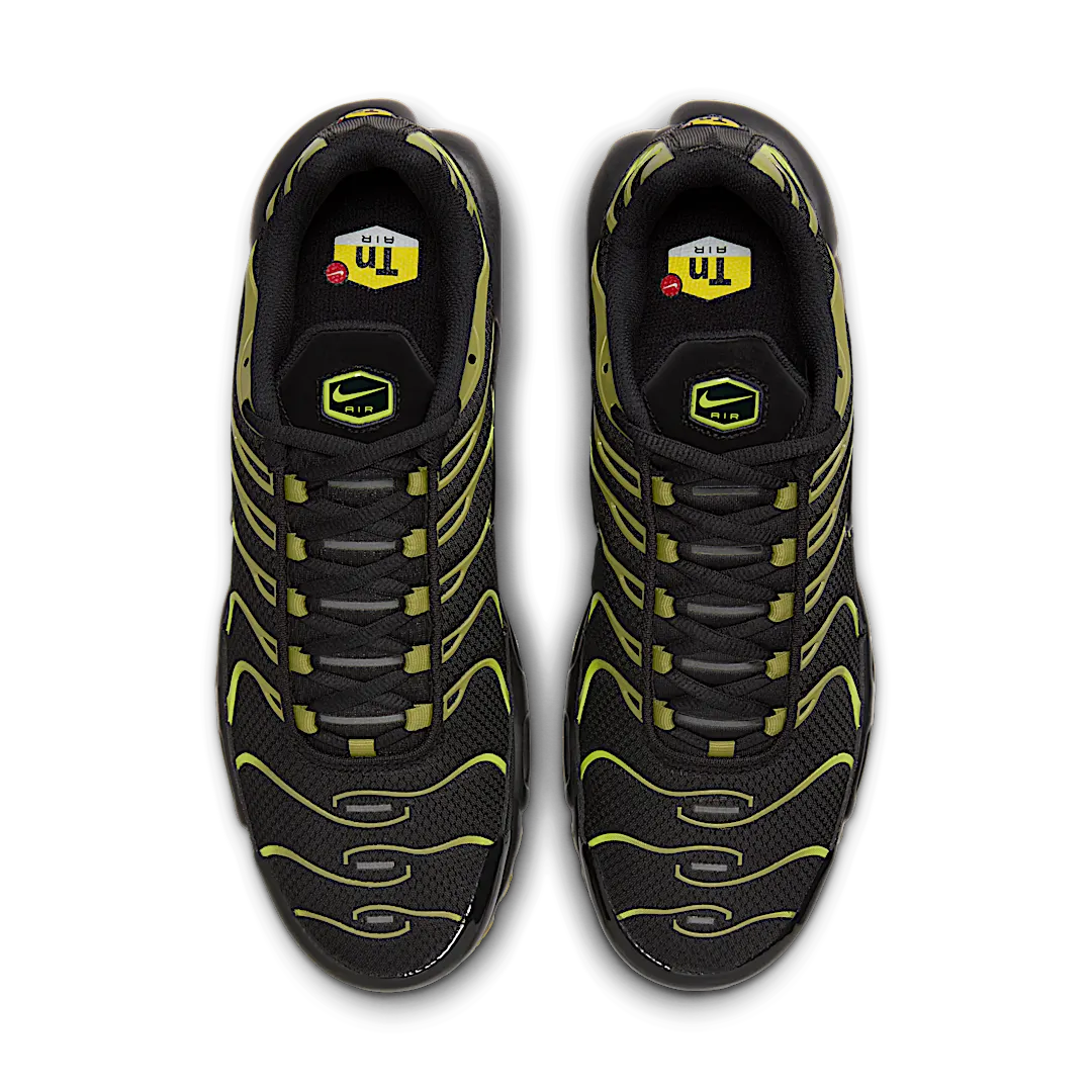 Overkicks - Nike Air Max Plus Pacific Moss (DM0032-010) - par completo