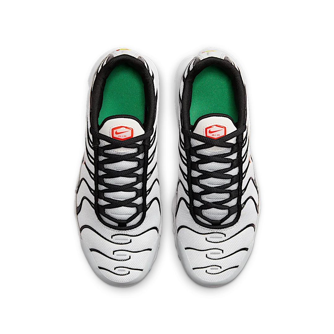 Overkicks - Nike Air Max Plus Platinum Black Red (CD0609-109) - par completo