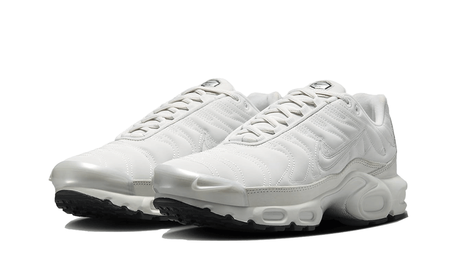 Overkicks - Nike Air Max Plus Platinum Tint (FZ4342-001) - vista trasera