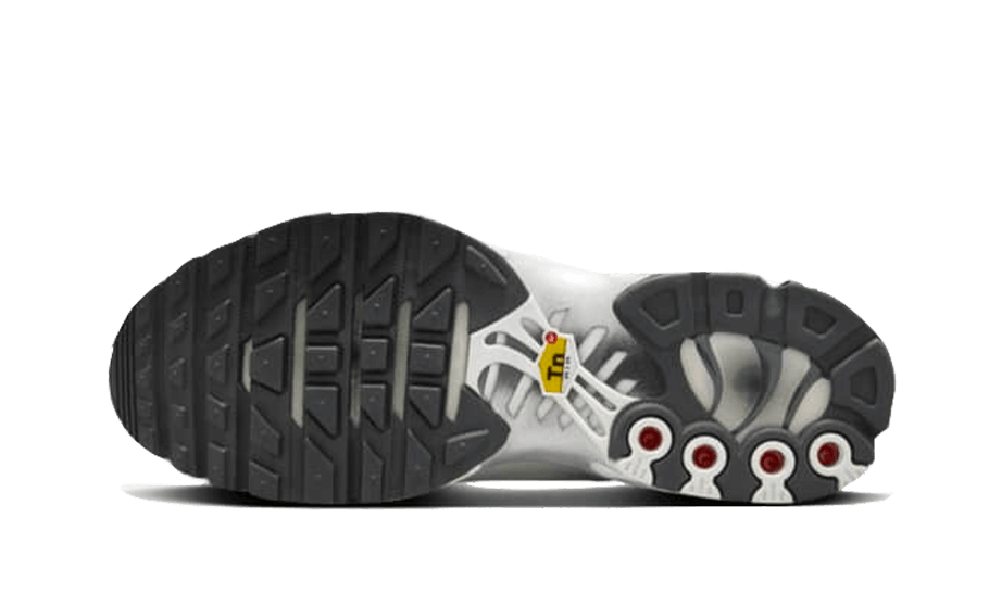 Overkicks - Nike Air Max Plus Platinum Tint (FZ4342-001) - par completo