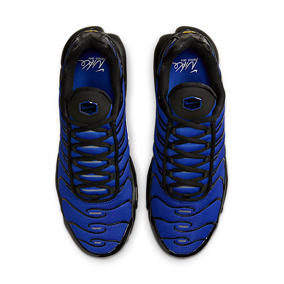 Overkicks - Nike Air Max Plus Premium Black Racer Blue (FQ7331-001) - par completo