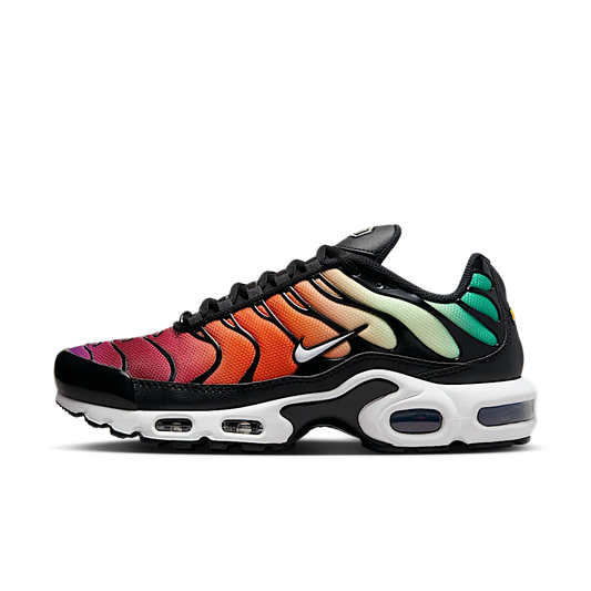 Overkicks - Nike Air Max Plus Rainbow (DZ3670-001) - vista lateral