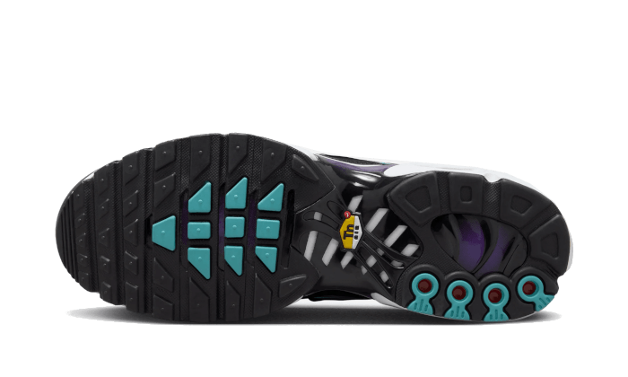 Overkicks - Nike Air Max Plus Reverse Grape (FQ2415-500 / FQ2412-500) - par completo