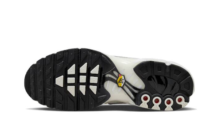 Overkicks - Nike Air Max Plus Sail Pure Platinum Silver (FN7813-001) - par completo