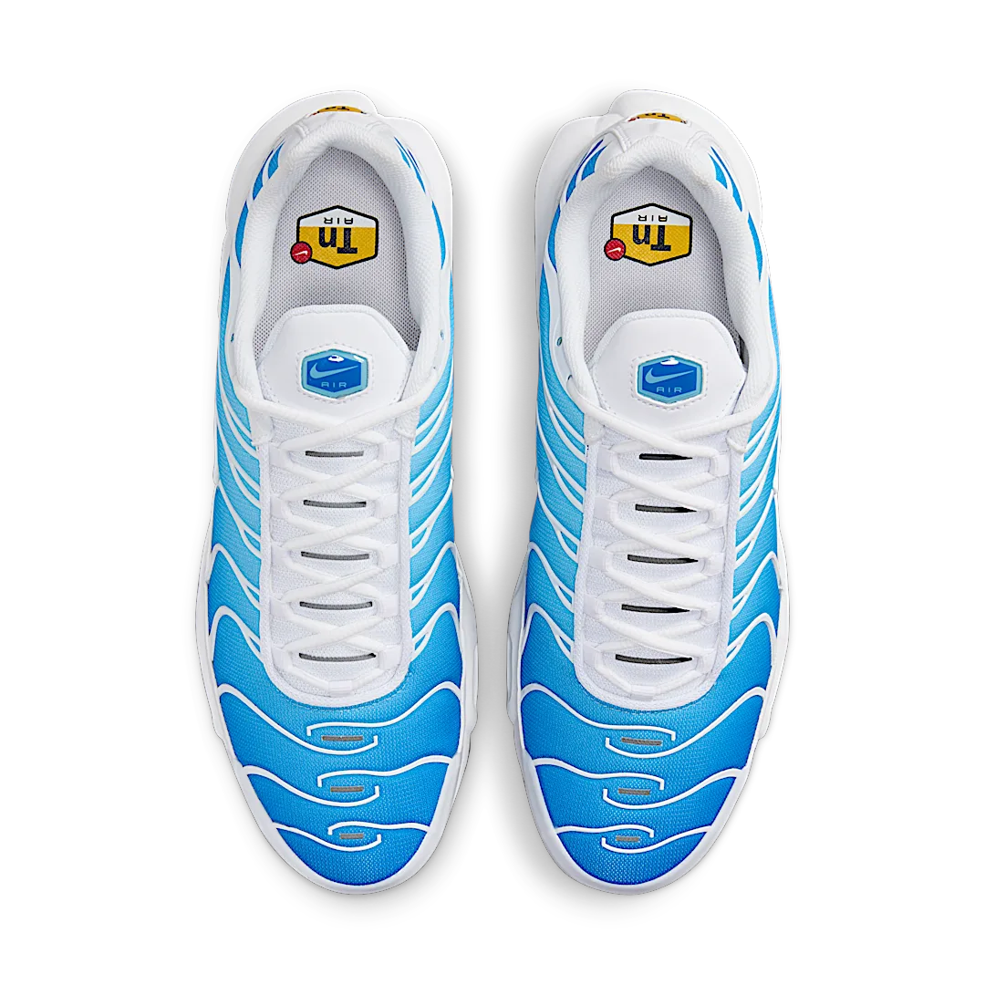 Overkicks - Nike Air Max Plus Sky Blue (852630-411) - par completo