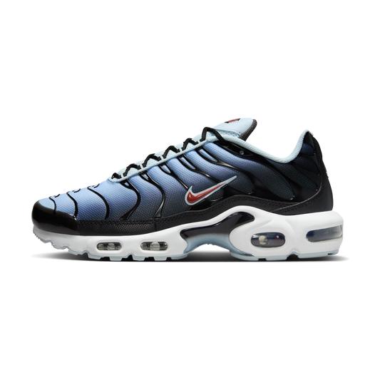 Overkicks - Nike Air Max Plus Swoosh Pack Blue Tint (DM0032-008) - vista lateral