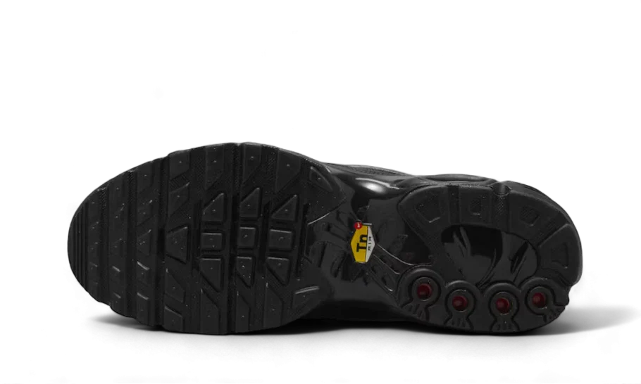 Overkicks - Nike Air Max Plus Tiempo Black White (HF0074-001) - par completo