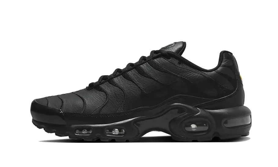 Overkicks - Nike Air Max Plus Triple Black Leather (AJ2029-001) - vista lateral