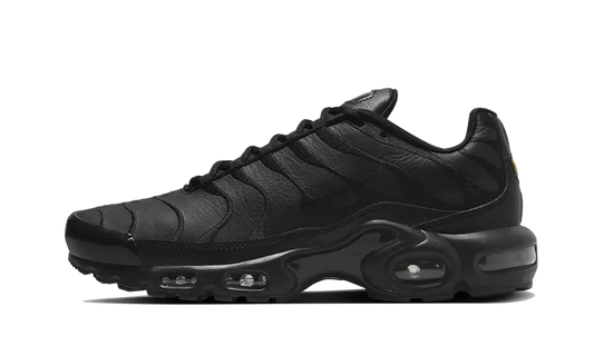 Overkicks - Nike Air Max Plus Triple Black Leather (AJ2029-001) - vista lateral