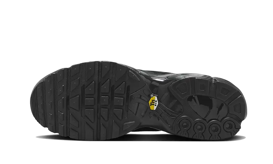 Overkicks - Nike Air Max Plus Triple Black Leather (AJ2029-001) - par completo