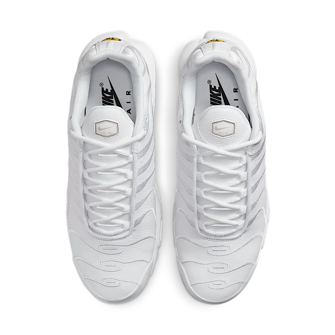 Overkicks - Nike Air Max Plus Triple White (AJ2029-100) - par completo