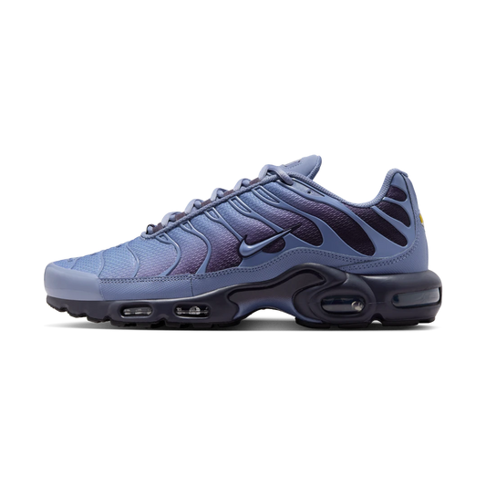 Overkicks - Nike Air Max Plus World Indigo (DM0032-404) - vista lateral