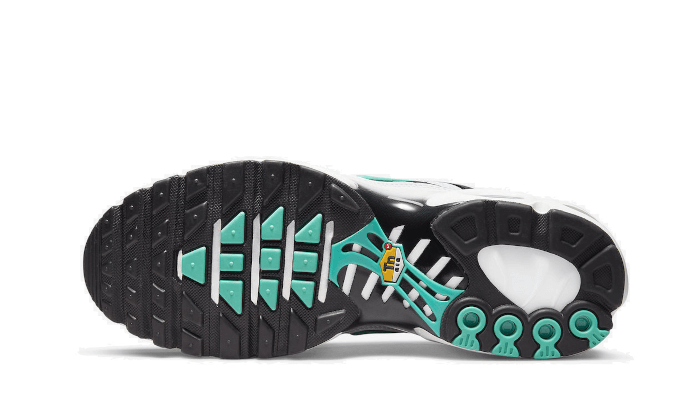 Overkicks - Nike Air Max Plus atmos White Hyper Jade (604133-148) - par completo