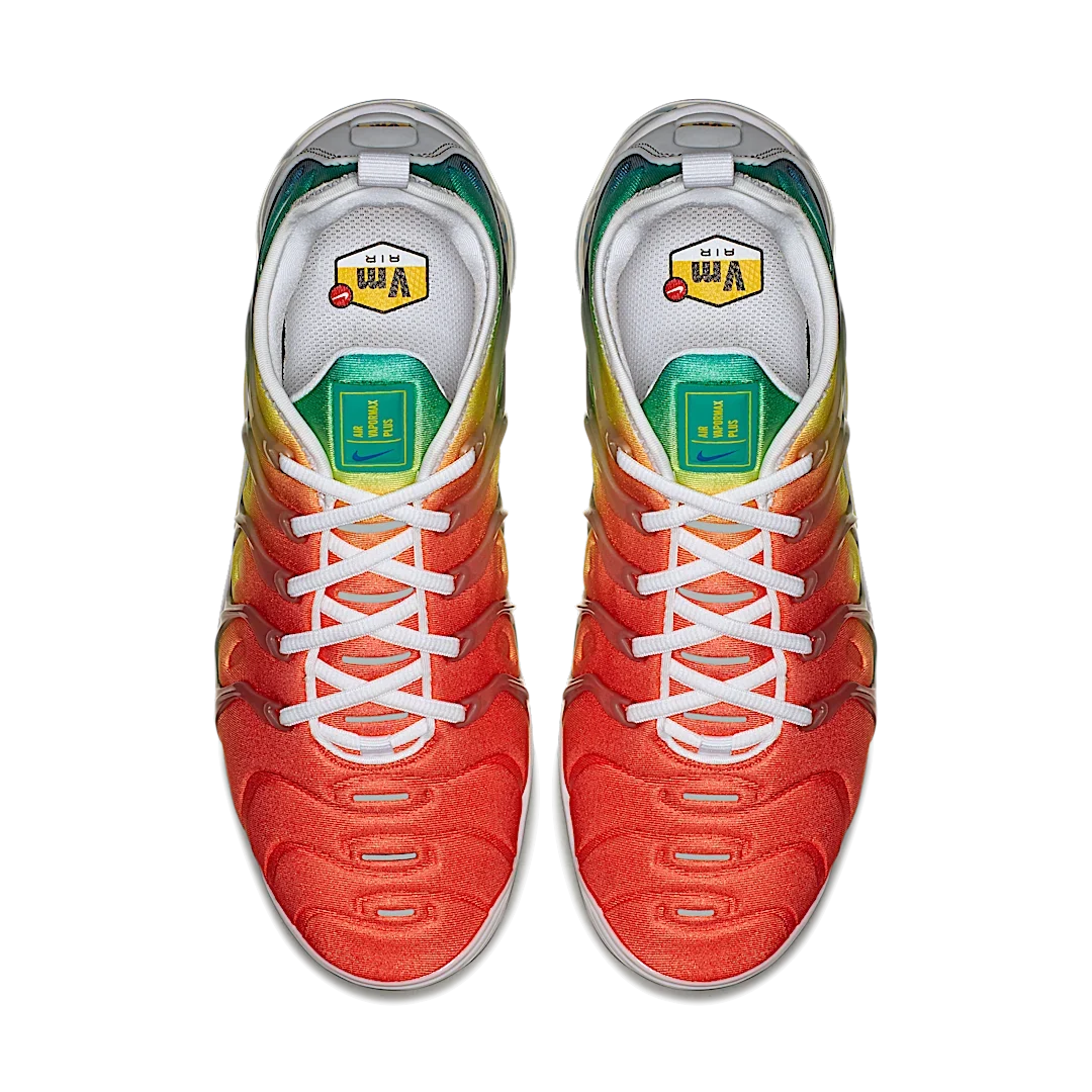 Overkicks - Nike Air VaporMax Plus Rainbow (924453-103) - par completo