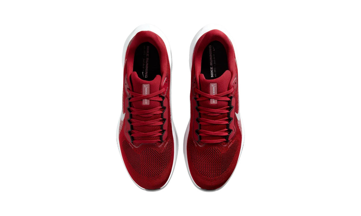 Overkicks - Nike Air Zoom Pegasus 41 Arizona Cardinals (2025) (IB3191-600) - vista superior