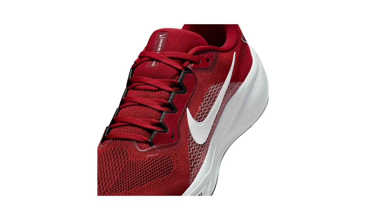Overkicks - Nike Air Zoom Pegasus 41 Arizona Cardinals (2025) (IB3191-600) - detalle lateral interior