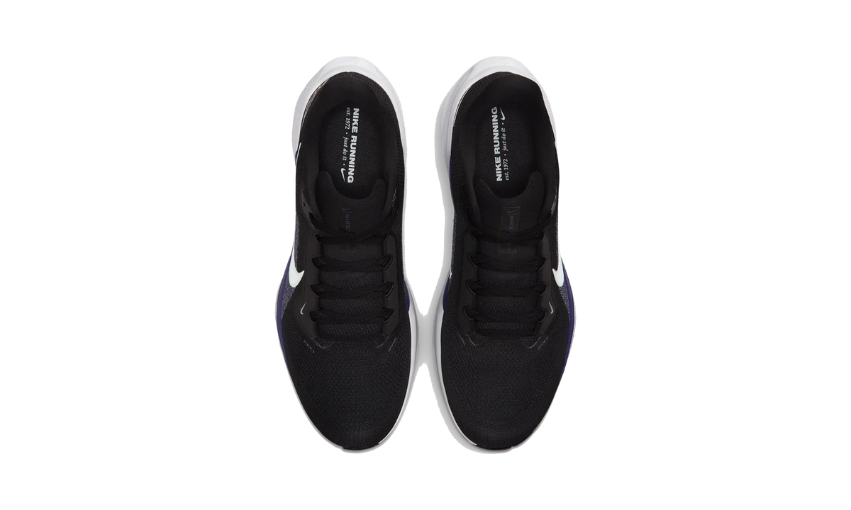 Overkicks - Nike Air Zoom Pegasus 41 Baltimore Ravens (2025) (IB3194-001) - vista superior