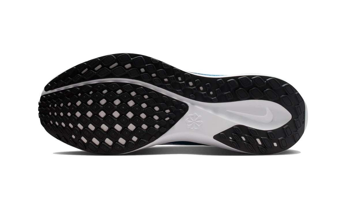 Overkicks - Nike Air Zoom Pegasus 41 Carolina Panthers (2025) (IB3211-400) - par completo