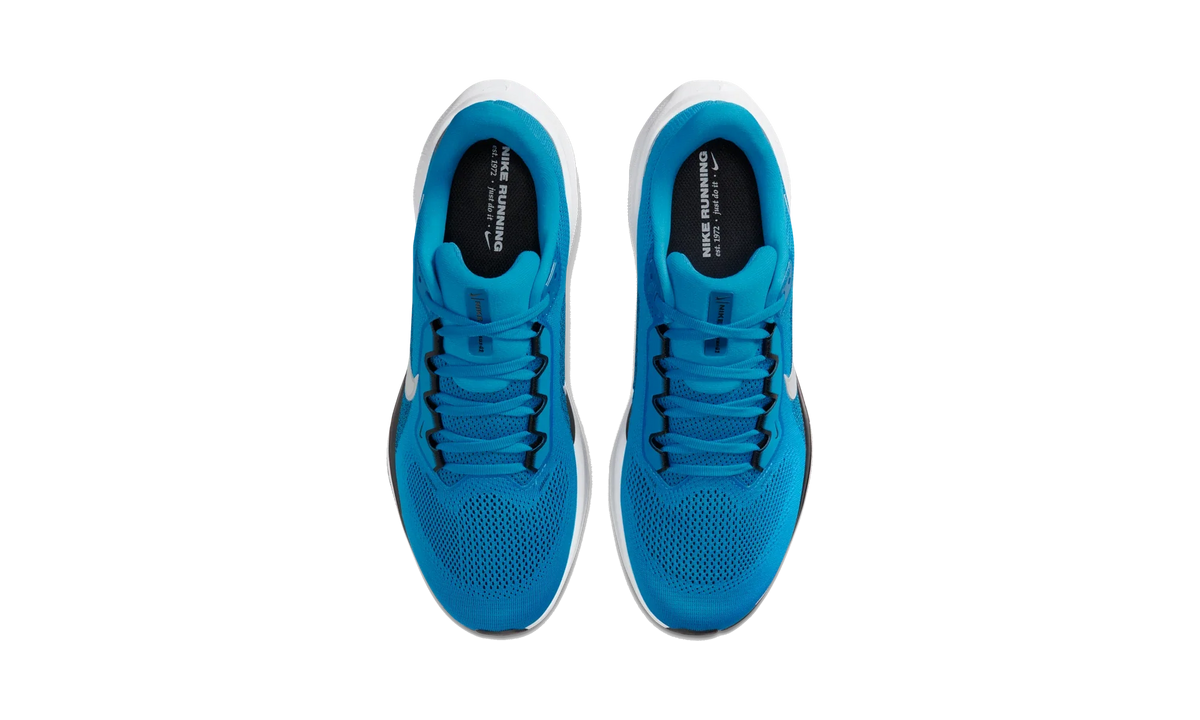 Overkicks - Nike Air Zoom Pegasus 41 Carolina Panthers (2025) (IB3211-400) - vista superior