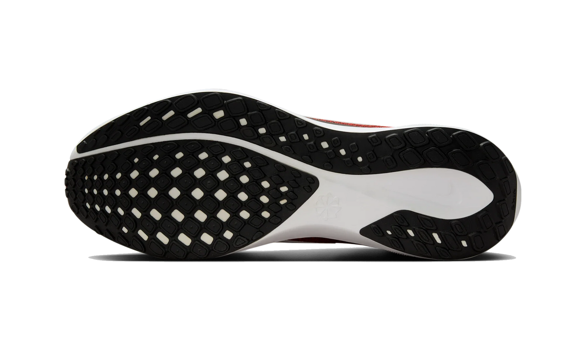 Overkicks - Nike Air Zoom Pegasus 41 Cleveland Browns (2025) (IB3202-800) - par completo